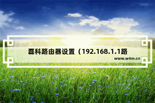 磊科路由器设置（192.168.1.1路由器设置步骤）