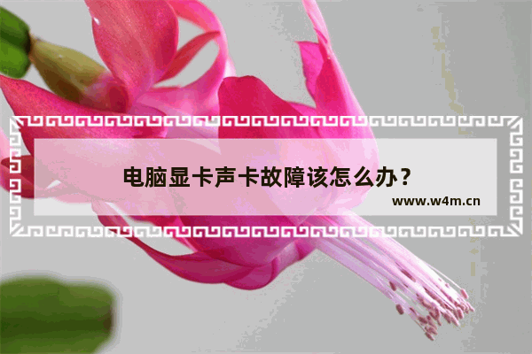 电脑显卡声卡故障该怎么办？