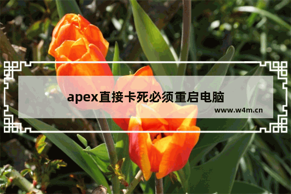 apex直接卡死必须重启电脑