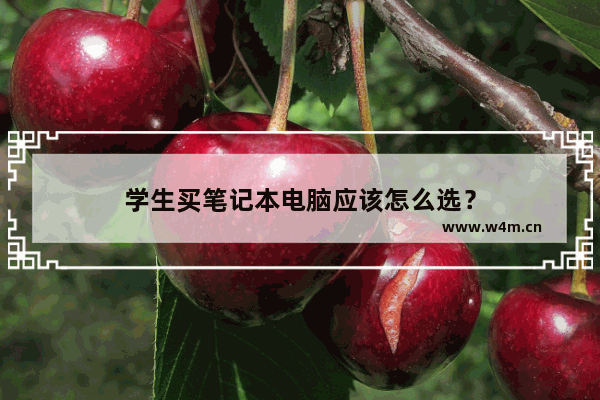 学生买笔记本电脑应该怎么选？