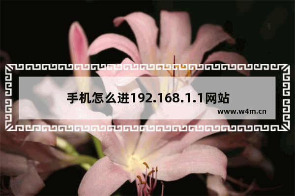 手机怎么进192.168.1.1网站