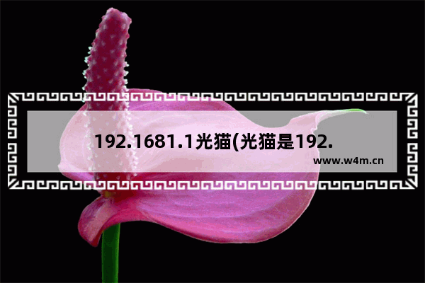 192.1681.1光猫(光猫是192.168.1.1路由是192.168.0.1)