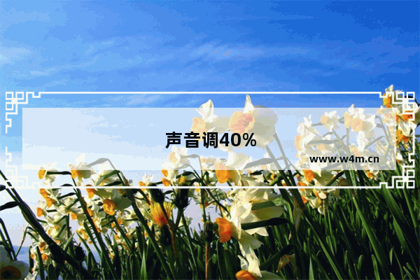 声音调40%