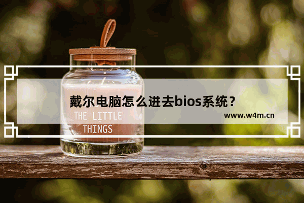 戴尔电脑怎么进去bios系统？