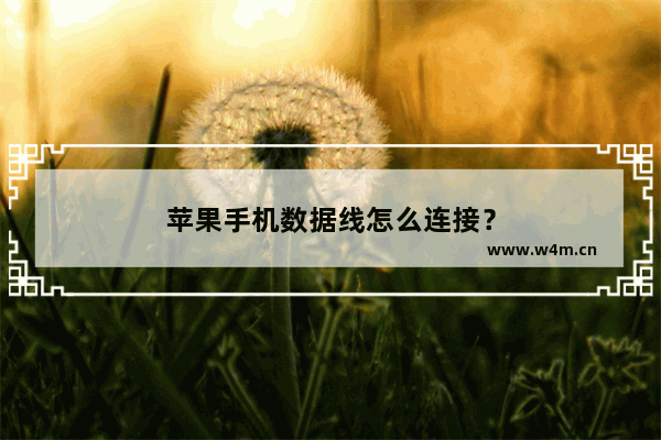 苹果手机数据线怎么连接？