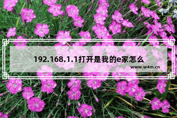 192.168.1.1打开是我的e家怎么变成路由器的界面？