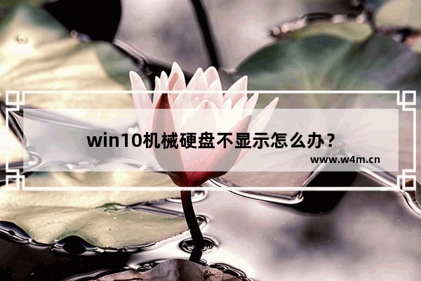 win10机械硬盘不显示怎么办？