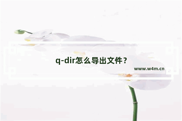 q-dir怎么导出文件？