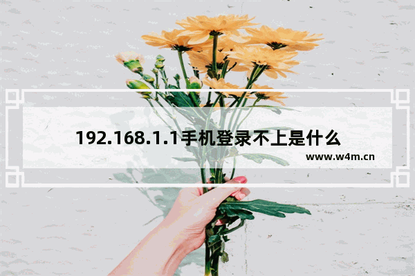 192.168.1.1手机登录不上是什么原因