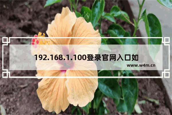 192.168.1.100登录官网入口如何设置