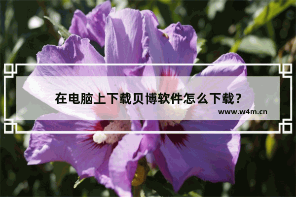 在电脑上下载贝博软件怎么下载？