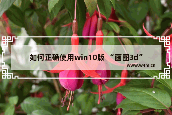 如何正确使用win10版 “画图3d”