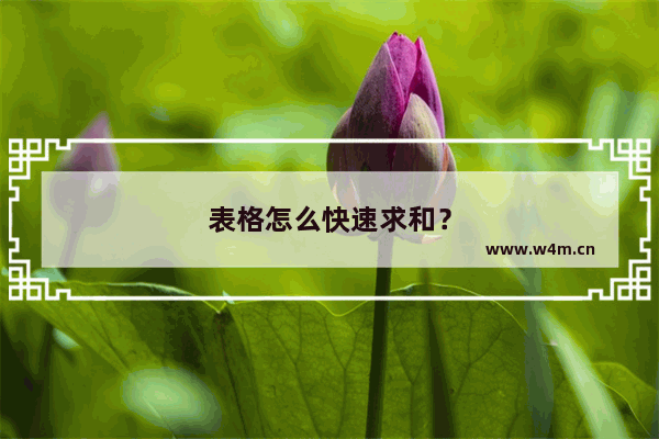 表格怎么快速求和？