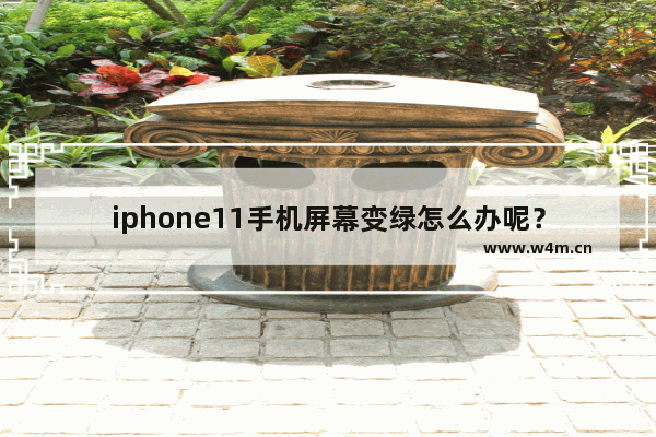 iphone11手机屏幕变绿怎么办呢？