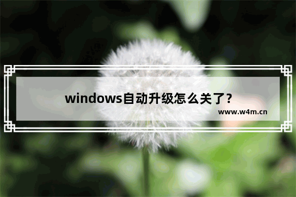 windows自动升级怎么关了？