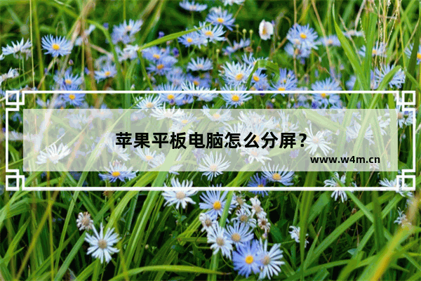 苹果平板电脑怎么分屏？