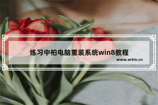 练习中柏电脑重装系统win8教程