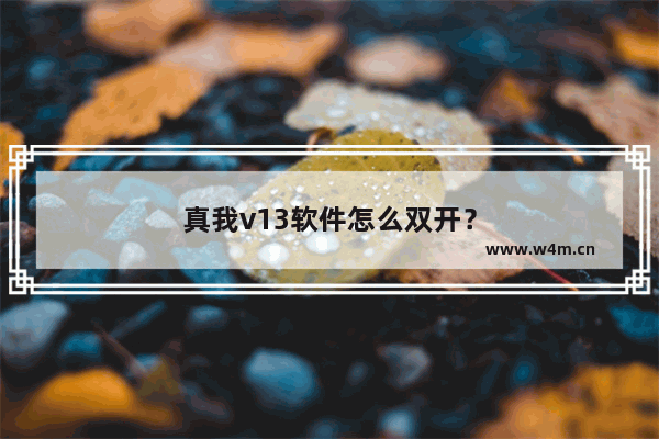 真我v13软件怎么双开？