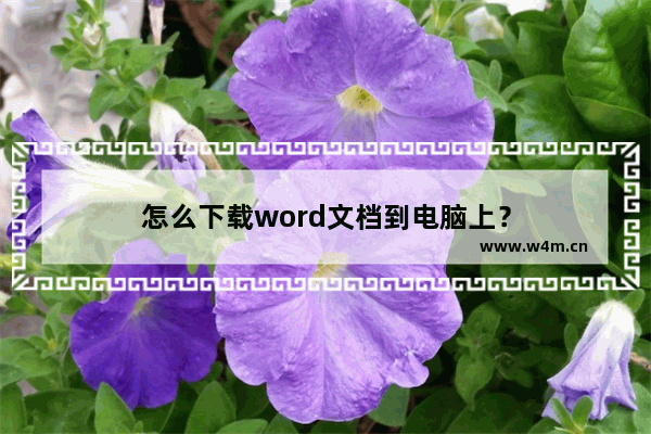 怎么下载word文档到电脑上？