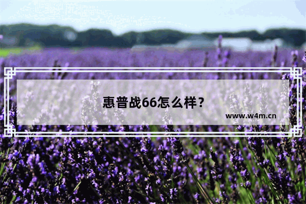 惠普战66怎么样？