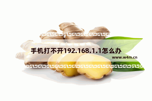 手机打不开192.168.1.1怎么办