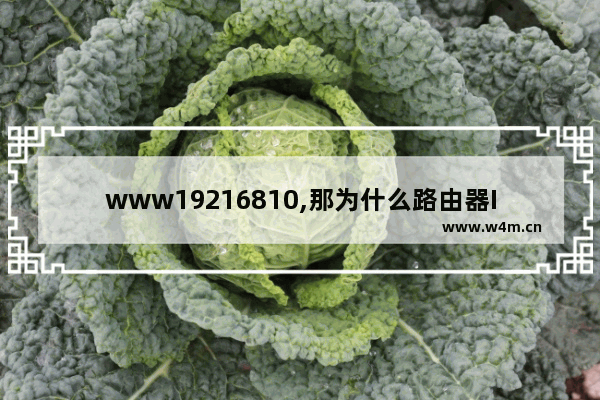 www19216810,那为什么路由器IP都是19216811呢