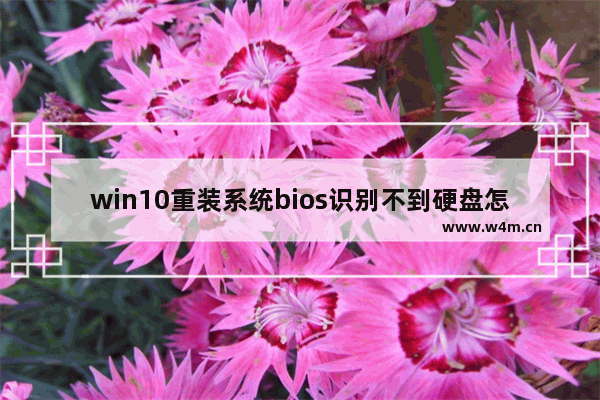 win10重装系统bios识别不到硬盘怎么办？