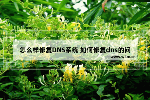 怎么样修复DNS系统 如何修复dns的问题