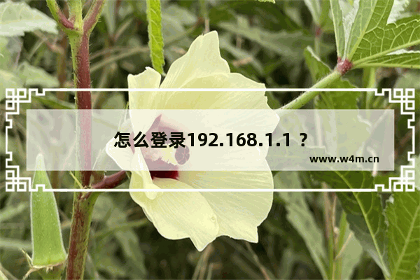 怎么登录192.168.1.1 ？