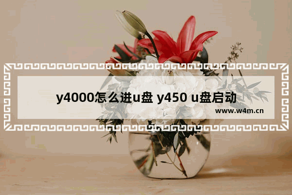 y4000怎么进u盘 y450 u盘启动