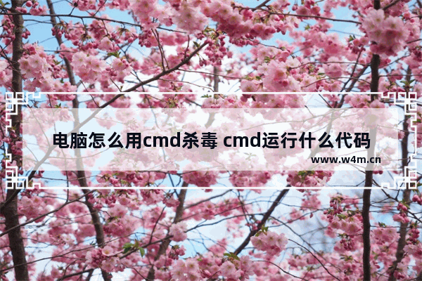 电脑怎么用cmd杀毒 cmd运行什么代码杀毒