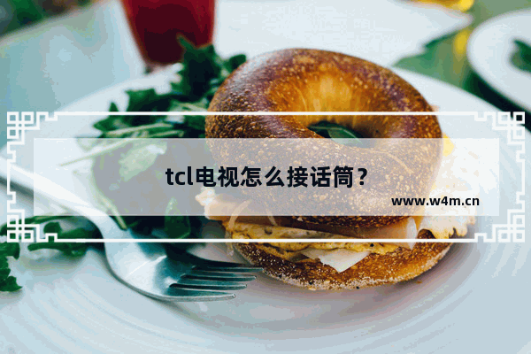 tcl电视怎么接话筒？