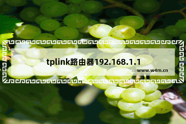 tplink路由器192.168.1.1打不开(tp路由器192.168.1.1进不去)