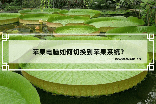 苹果电脑如何切换到苹果系统？