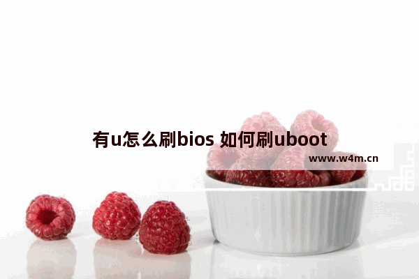 有u怎么刷bios 如何刷uboot