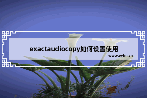 exactaudiocopy如何设置使用备用cd播放？