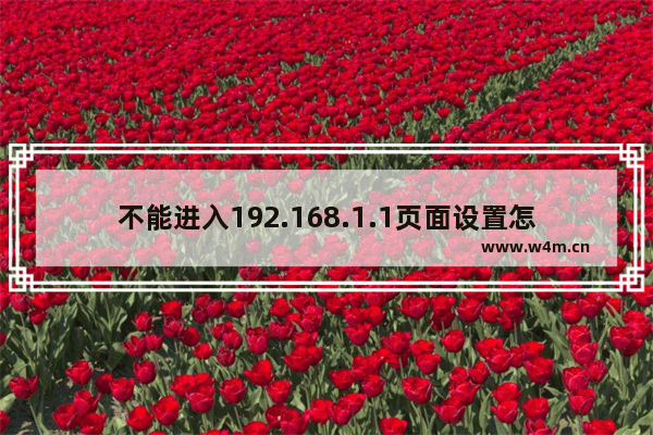 不能进入192.168.1.1页面设置怎么办