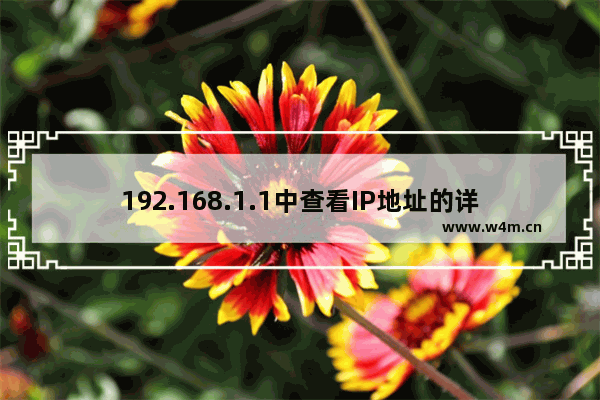 192.168.1.1中查看IP地址的详细方法