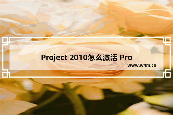 Project 2010怎么激活 Project 2010激活密钥大全分享