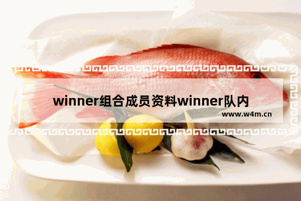 winner组合成员资料winner队内人气排名