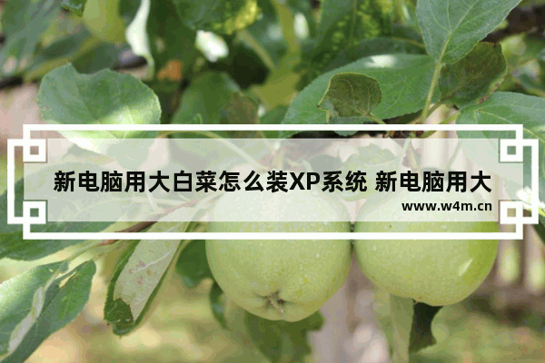 新电脑用大白菜怎么装XP系统 新电脑用大白菜怎么装xp系统教程