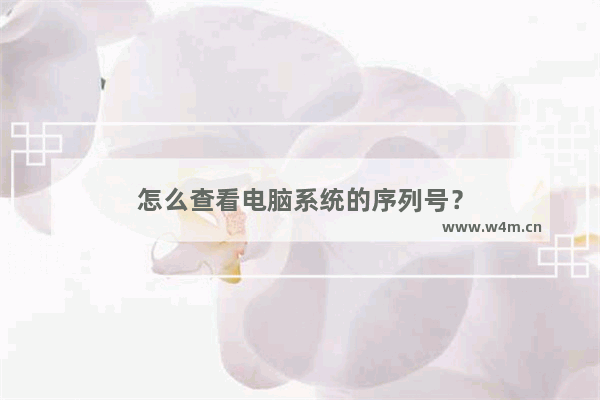 怎么查看电脑系统的序列号？