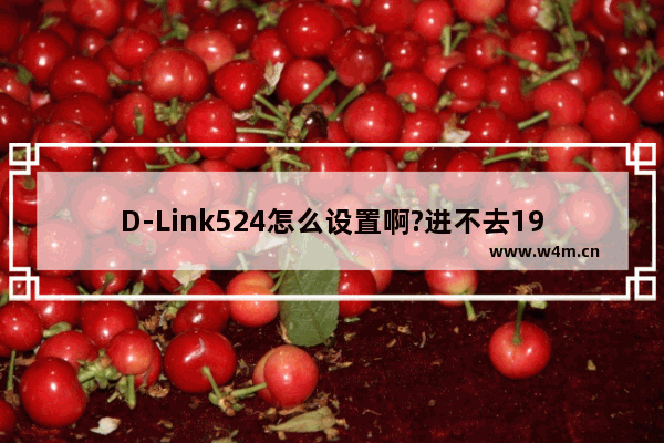 D-Link524怎么设置啊?进不去19216801