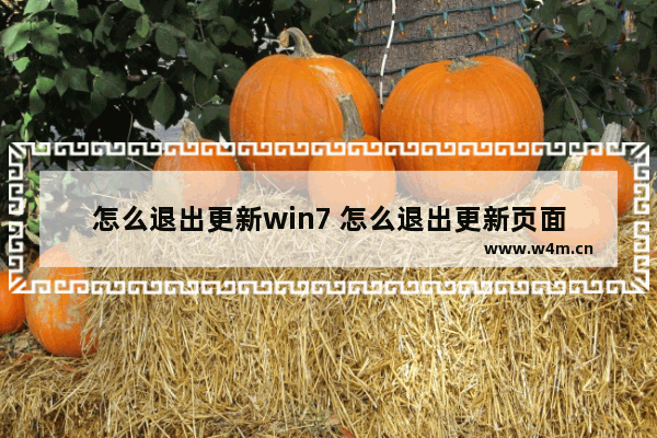 怎么退出更新win7 怎么退出更新页面