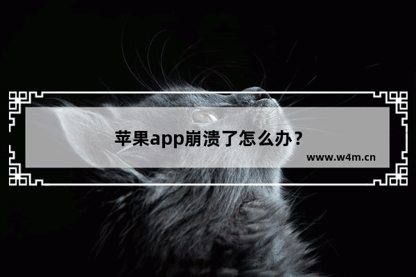 苹果app崩溃了怎么办？