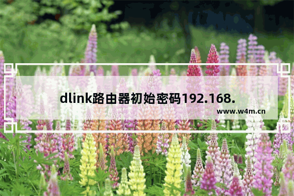 dlink路由器初始密码192.168.0.1(dlink路由器设置登录密码)