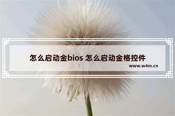 怎么启动金bios 怎么启动金格控件