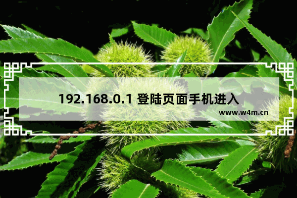 192.168.0.1 登陆页面手机进入