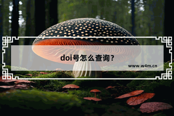 doi号怎么查询？