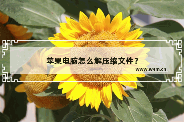 苹果电脑怎么解压缩文件？